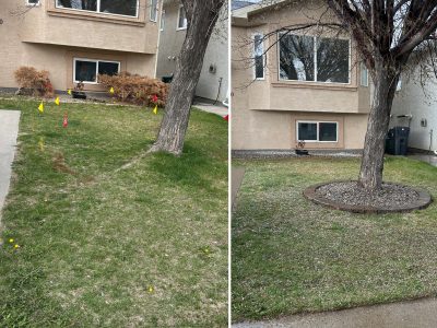 A9E77401-E995-491F-A509-083919E5BD12