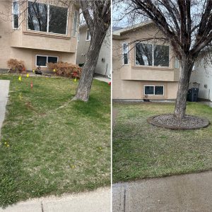 A9E77401-E995-491F-A509-083919E5BD12